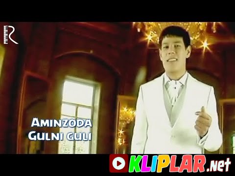 Aminzoda - Gulni guli (Video klip)