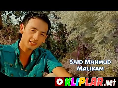 Said Mahmud - Qalbim (Video klip)