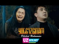Dilshod Rahmonov - Yolg'izginam (HD Clip)