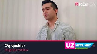 Ulug'bek Halikov - Oq qushlar (HD Clip)